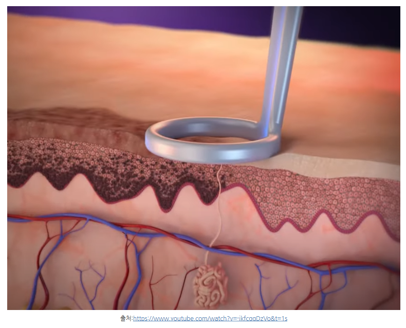 스크린샷 2025-06-07 111551.png