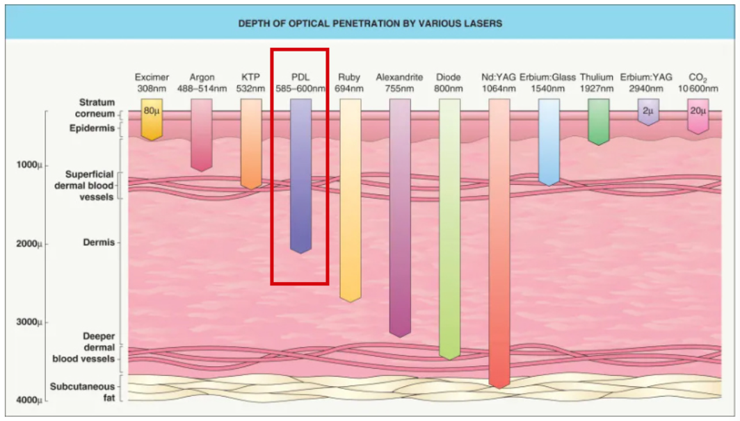 스크린샷 2025-06-07 111816.png