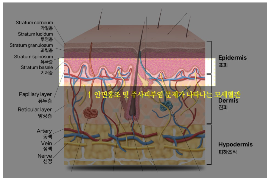 스크린샷 2025-06-07 111802.png
