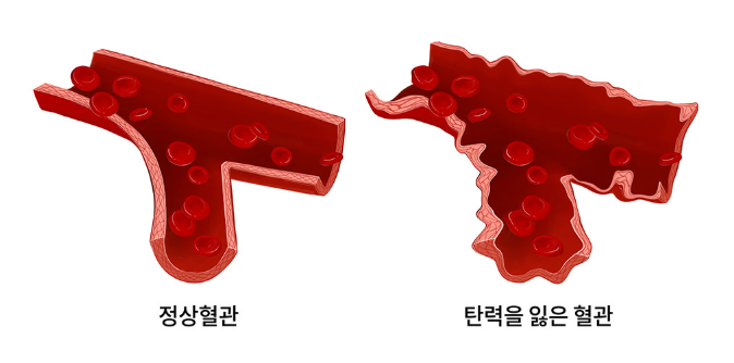 스크린샷 2025-06-07 111741.png