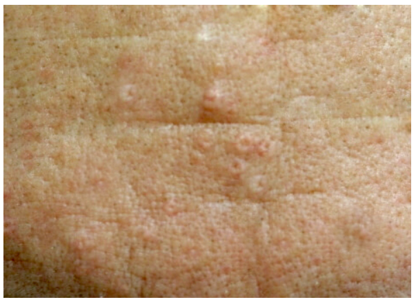 스크린샷 2025-06-07 113353.png