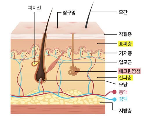 부산-눈밑-한관종(물사마귀)-Co2레이저,-아그네스-고주파_01.jpg