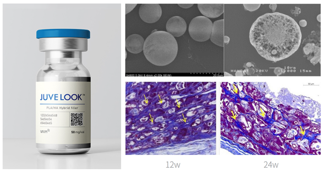 스크린샷 2025-06-14 111258.png