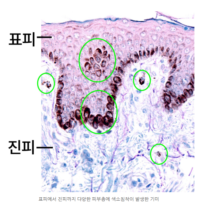 스크린샷 2025-06-14 111910.png