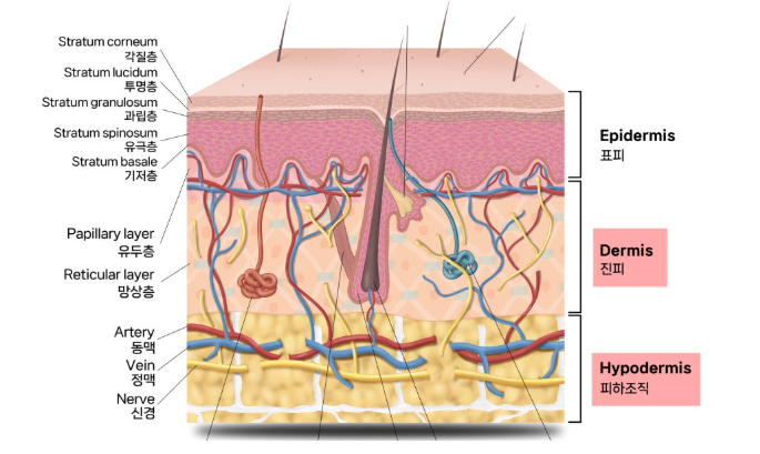 스크린샷 2025-06-14 112509.png