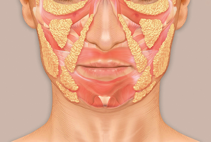 부산 팔자주름 리프팅 레이저_10.jpg